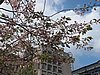 IMG_8315.JPG