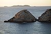 DSC03542.JPG
