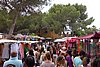 DSC03567.JPG