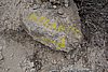 DSC03663.JPG
