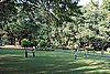 DSC04396.JPG