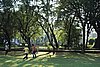 DSC04397.JPG