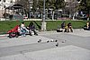 DSC02429.JPG