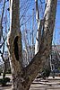DSC02437.JPG