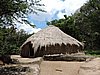 DSCN0137.JPG