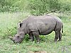 DSCN0795.JPG