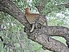 DSCN0833.JPG