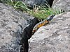 DSCN0927.JPG