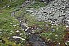 DSC04100.JPG