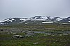 DSC04135.JPG