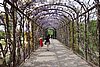DSC03186.JPG