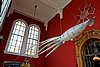 DSC04955.JPG