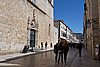 DSC04544.JPG