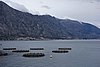 DSC04818.JPG
