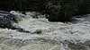 DSC05363.JPG