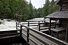 DSC05367.JPG