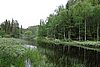 DSC05408.JPG