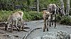 DSC05429.JPG