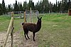 DSC05459.JPG