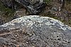 DSC05598.JPG