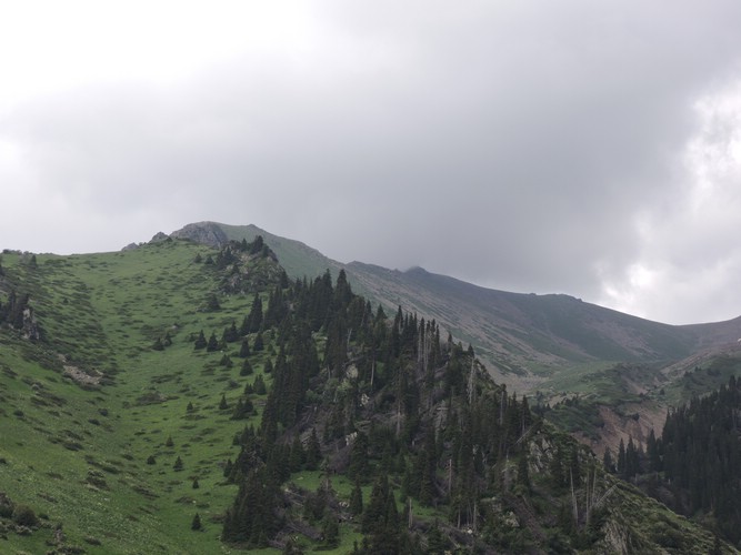 DSCN1816.JPG