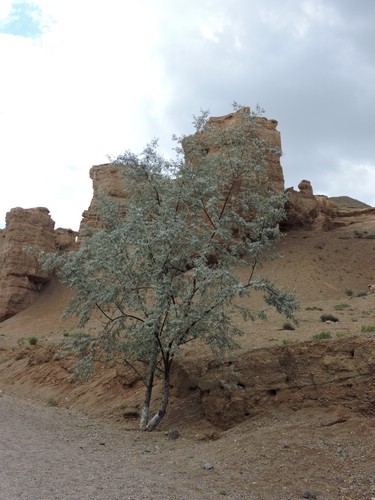 DSCN1949.JPG
