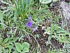 DSCN1772.JPG
