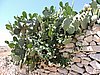 DSCN1295.JPG