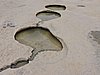 DSCN1407.JPG
