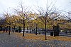DSC06403.JPG