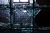 DSC06186.JPG