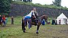 DSC05801.JPG