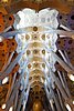 DSC06891.JPG