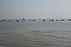 DSC06510.JPG