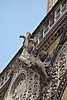 DSC06629.JPG