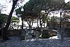 DSC07460.JPG