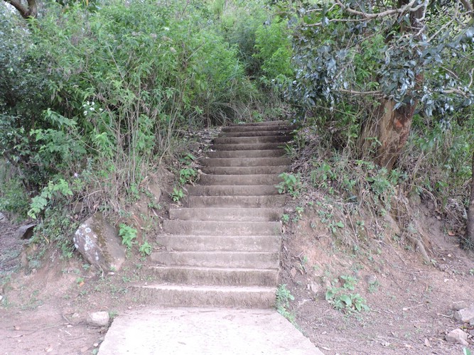 DSCN2222.JPG