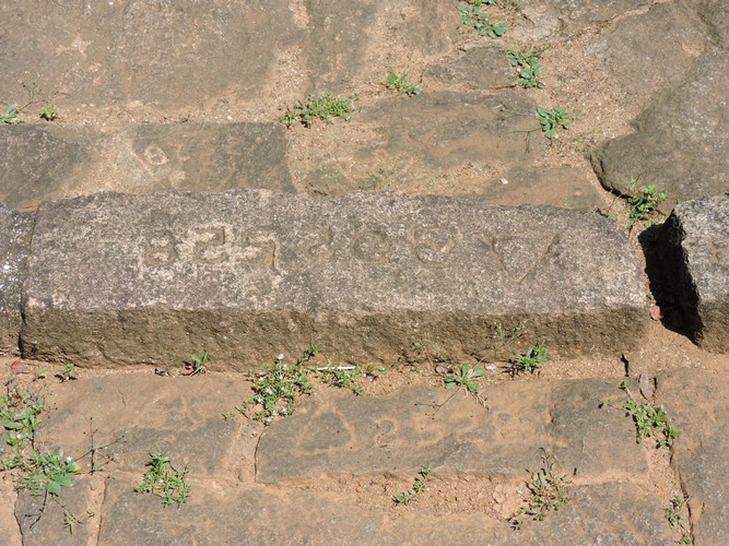 DSCN2411.JPG