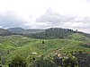 DSCN2248.JPG