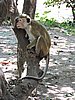 DSCN2357.JPG