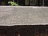 DSCN2381.JPG