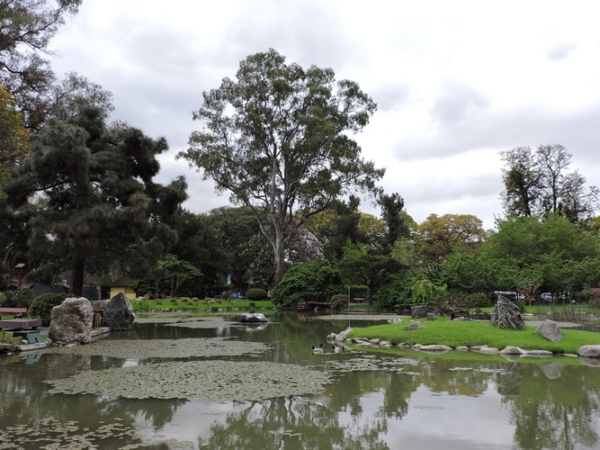 DSCN6800.JPG