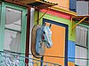 DSCN6862.JPG