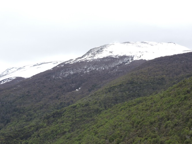 DSCN7538.JPG
