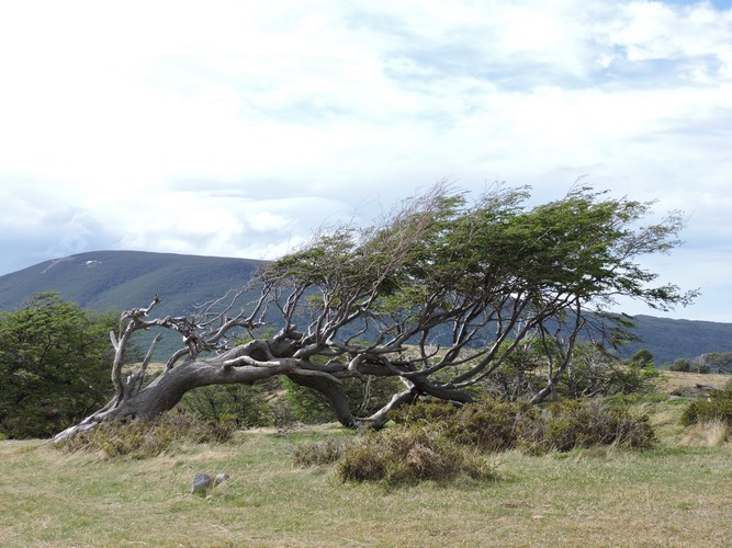 DSCN7781.JPG