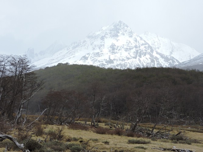 DSCN7797.JPG