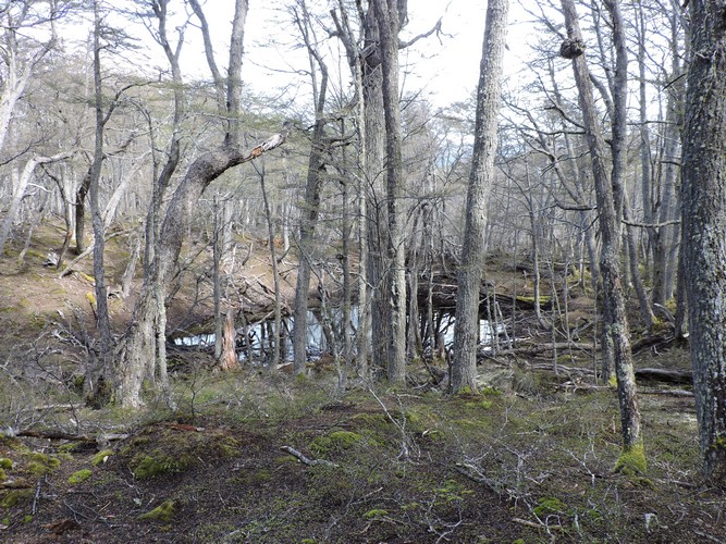 DSCN7805.JPG