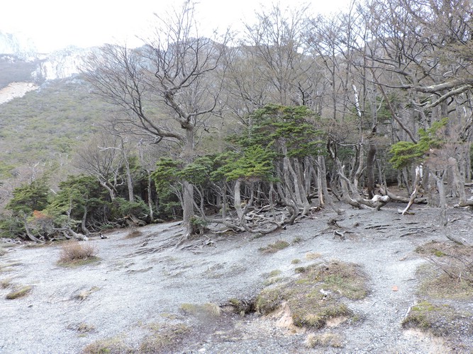 DSCN7814.JPG