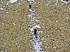 DSCN7417.JPG