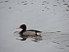 DSCN7418.JPG